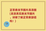 正常肩关节图片高清图(高清真实肩关节图片，详细了解正常肩部结构！)