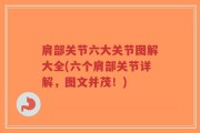 肩部关节六大关节图解大全(六个肩部关节详解，图文并茂！)