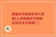 膝盖关节连接处有几条筋(人体膝盖关节连接处存在多少根筋？)