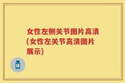 女性左侧关节图片高清(女性左关节高清图片展示)