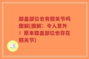 膝盖部位也有髋关节吗图解(图解：令人意外！原来膝盖部位也存在髋关节)