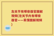 左关节有哪些器官图解视频(左关节内有哪些器官——易懂图解视频)