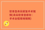 软骨垫鼻尖修复手术视频(鼻尖软骨垫修补：手术全程现场视频)