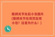 胳膊关节处起小包图片(胳膊关节处突然出现小包？这是为什么！)