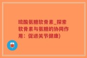 琉酸氨糖软骨素_探索软骨素与氨糖的协同作用：促进关节健康)