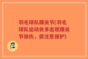 羽毛球队踝关节(羽毛球队运动员多出现踝关节损伤，需注意保护)