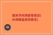 膝关节内测感觉困乏(内测膝盖感到疲乏)