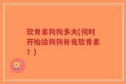 软骨素狗狗多大(何时开始给狗狗补充软骨素？)