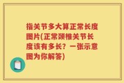 指关节多大算正常长度图片(正常颈椎关节长度该有多长？一张示意图为你解答)