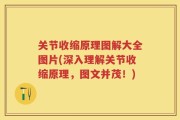 关节收缩原理图解大全图片(深入理解关节收缩原理，图文并茂！)