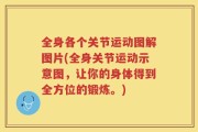 全身各个关节运动图解图片(全身关节运动示意图，让你的身体得到全方位的锻炼。)