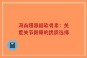 河南妞氨糖软骨素：关爱关节健康的优质选择