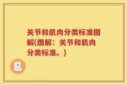 关节和肌肉分类标准图解(图解：关节和肌肉分类标准。)