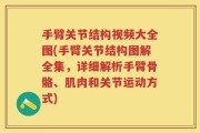 手臂关节结构视频大全图(手臂关节结构图解全集，详细解析手臂骨骼、肌肉和关节运动方式)