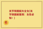 关节锁图解大全女(关节锁图解集锦：女性必知！)