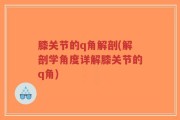 膝关节的q角解剖(解剖学角度详解膝关节的q角)