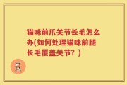 猫咪前爪关节长毛怎么办(如何处理猫咪前腿长毛覆盖关节？)