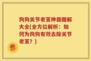 狗狗关节老茧神器图解大全(全方位解析：如何为狗狗有效去除关节老茧？)