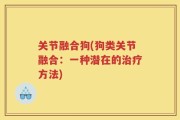 关节融合狗(狗类关节融合：一种潜在的治疗方法)
