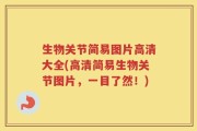 生物关节简易图片高清大全(高清简易生物关节图片，一目了然！)