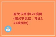 膝关节屈伸120度图(膝关节灵活，可达120度屈伸)