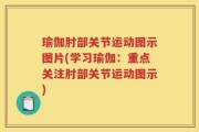 瑜伽肘部关节运动图示图片(学习瑜伽：重点关注肘部关节运动图示)