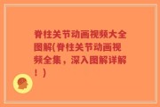 脊柱关节动画视频大全图解(脊柱关节动画视频全集，深入图解详解！)