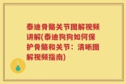 泰迪骨骼关节图解视频讲解(泰迪狗狗如何保护骨骼和关节：清晰图解视频指南)