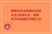 蜘蛛关节名称图片高清大全(高清大全：蜘蛛关节名称图片完整汇总)