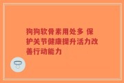 狗狗软骨素用处多 保护关节健康提升活力改善行动能力