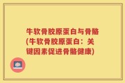 牛软骨胶原蛋白与骨骼(牛软骨胶原蛋白：关键因素促进骨骼健康)