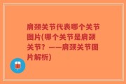 肩颈关节代表哪个关节图片(哪个关节是肩颈关节？——肩颈关节图片解析)
