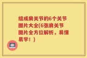 组成肩关节的6个关节图片大全(6张肩关节图片全方位解析，易懂易学！)