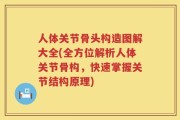 人体关节骨头构造图解大全(全方位解析人体关节骨构，快速掌握关节结构原理)