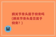 腕关节骨头属于桡骨吗(腕关节骨头是否属于桡骨？)