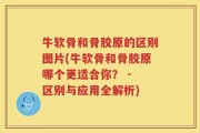 牛软骨和骨胶原的区别图片(牛软骨和骨胶原哪个更适合你？ - 区别与应用全解析)