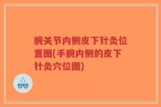 腕关节内侧皮下针灸位置图(手腕内侧的皮下针灸穴位图)