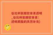 谷比利氨糖软骨素透明_谷比利氨糖软骨素：透明质酸的天然补充)