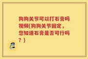 狗狗关节可以打石膏吗视频(狗狗关节固定，您知道石膏是否可行吗？)