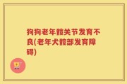 狗狗老年髋关节发育不良(老年犬髋部发育障碍)
