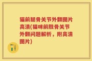 猫前腿骨关节外翻图片高清(猫咪前肢骨关节外翻问题解析，附高清图片)