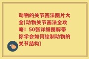动物的关节画法图片大全(动物关节画法全攻略！50张详细图解带你学会如何绘制动物的关节结构)