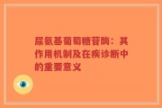 尿氨基葡萄糖苷酶：其作用机制及在疾诊断中的重要意义