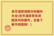 关节湿疹诱因分析图片大全(关节湿疹常见诱因及对应图片，全面了解不同类别！)