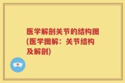 医学解剖关节的结构图(医学图解：关节结构及解剖)