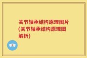 关节轴承结构原理图片(关节轴承结构原理图解析)