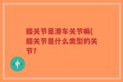 膝关节是滑车关节嘛(膝关节是什么类型的关节？