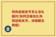 狗狗后腿关节怎么包扎图片(如何正确包扎狗狗后腿关节，详细图文教程)
