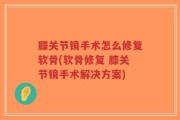 膝关节镜手术怎么修复软骨(软骨修复 膝关节镜手术解决方案)