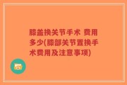 膝盖换关节手术 费用多少(膝部关节置换手术费用及注意事项)
